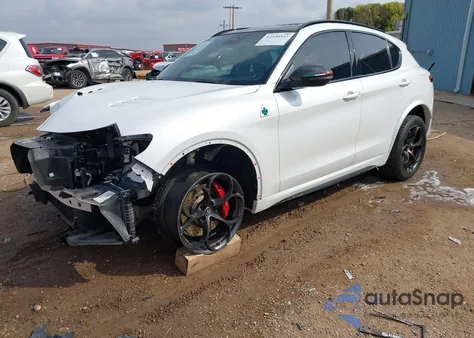 2019 Alfa Romeo Stelvio Quadrifoglio Awd из США, поврежденный, VIN ZASPAKEV4K7C37457